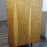 Sideboard by Jiri Jiroutek for Interier Praha, 1960s