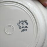 Set of 5 hollow plates badonviller model lebanon