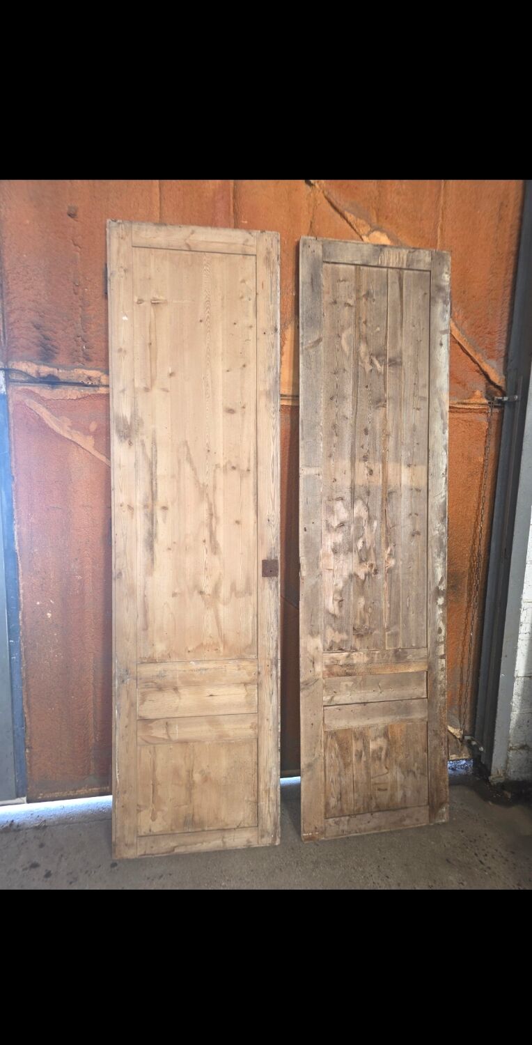 Pair of doors, 19th century