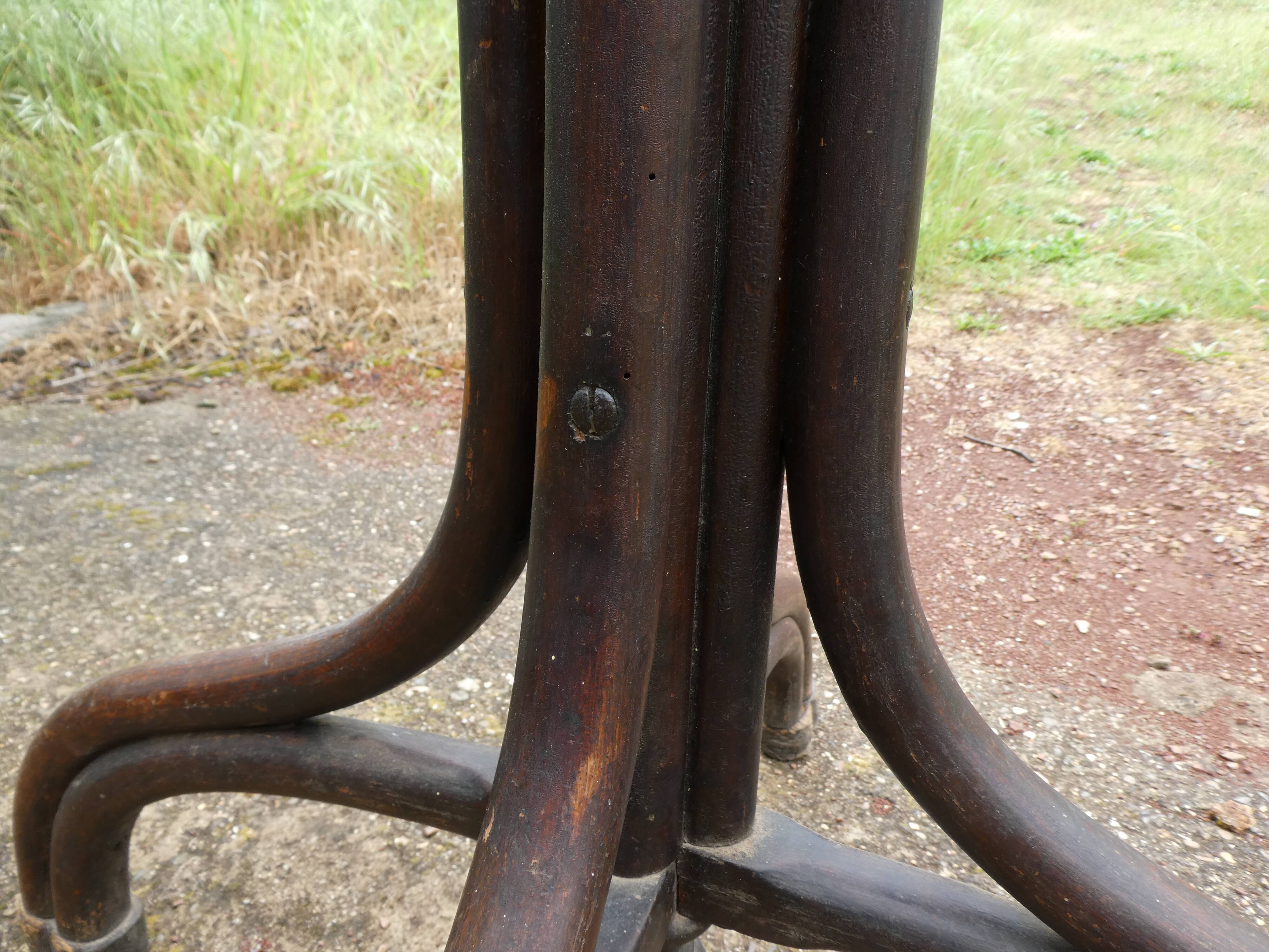 Parrot coat holder in curved wood - Art Nouveau