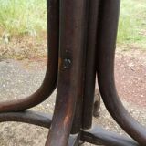 Parrot coat holder in curved wood - Art Nouveau