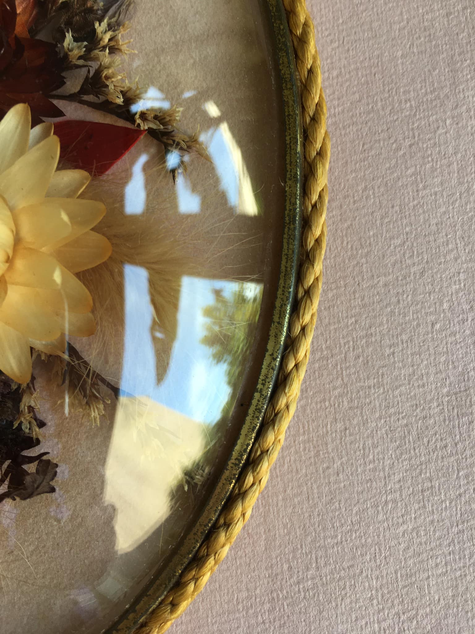Old medallion frame of dried flowers of oval shape. To hang with velvet stripe.