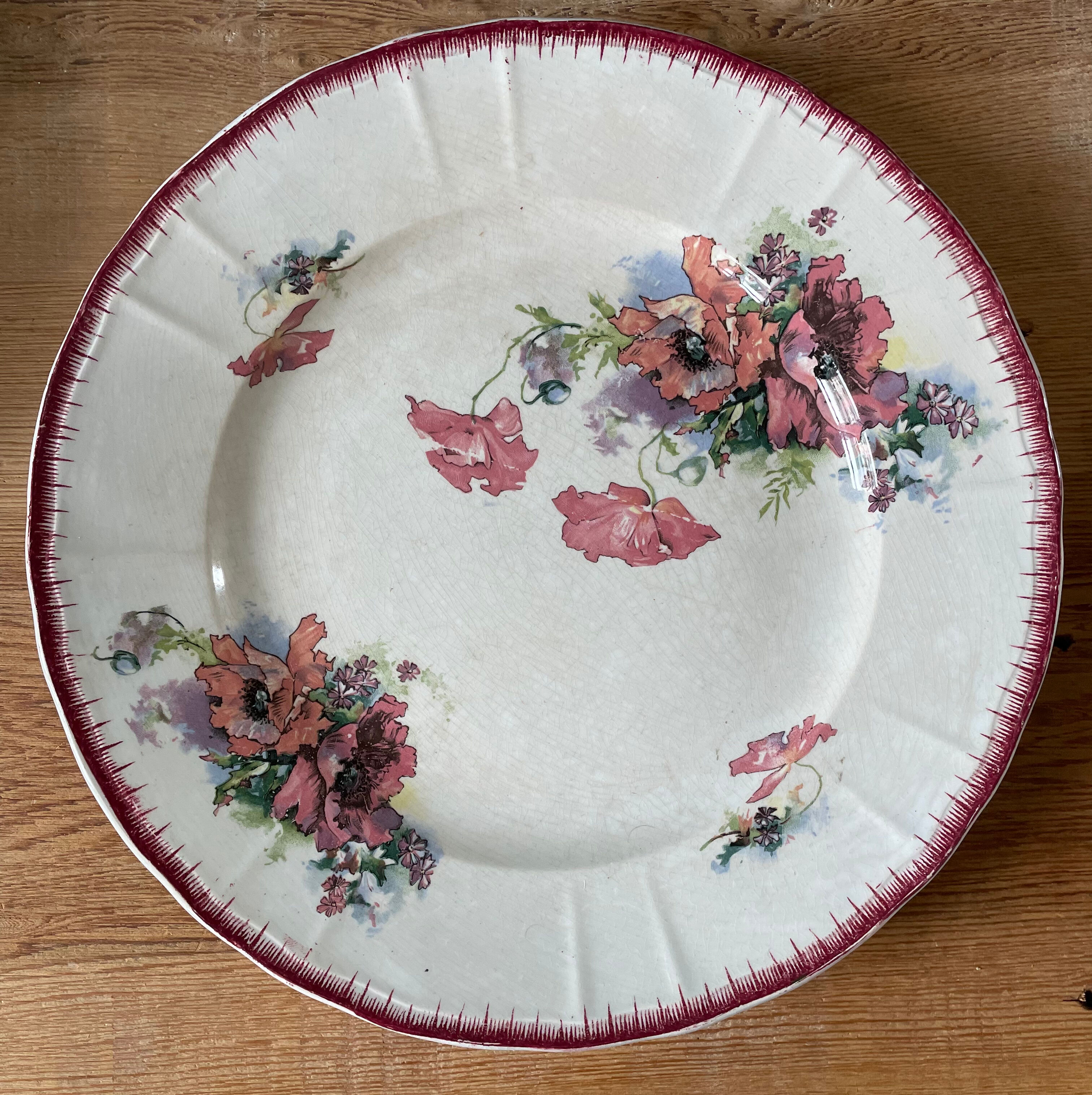 Lot de 9 assiettes plates Terre de Fer modèle « Pavots » St Amand & Hamage Nord