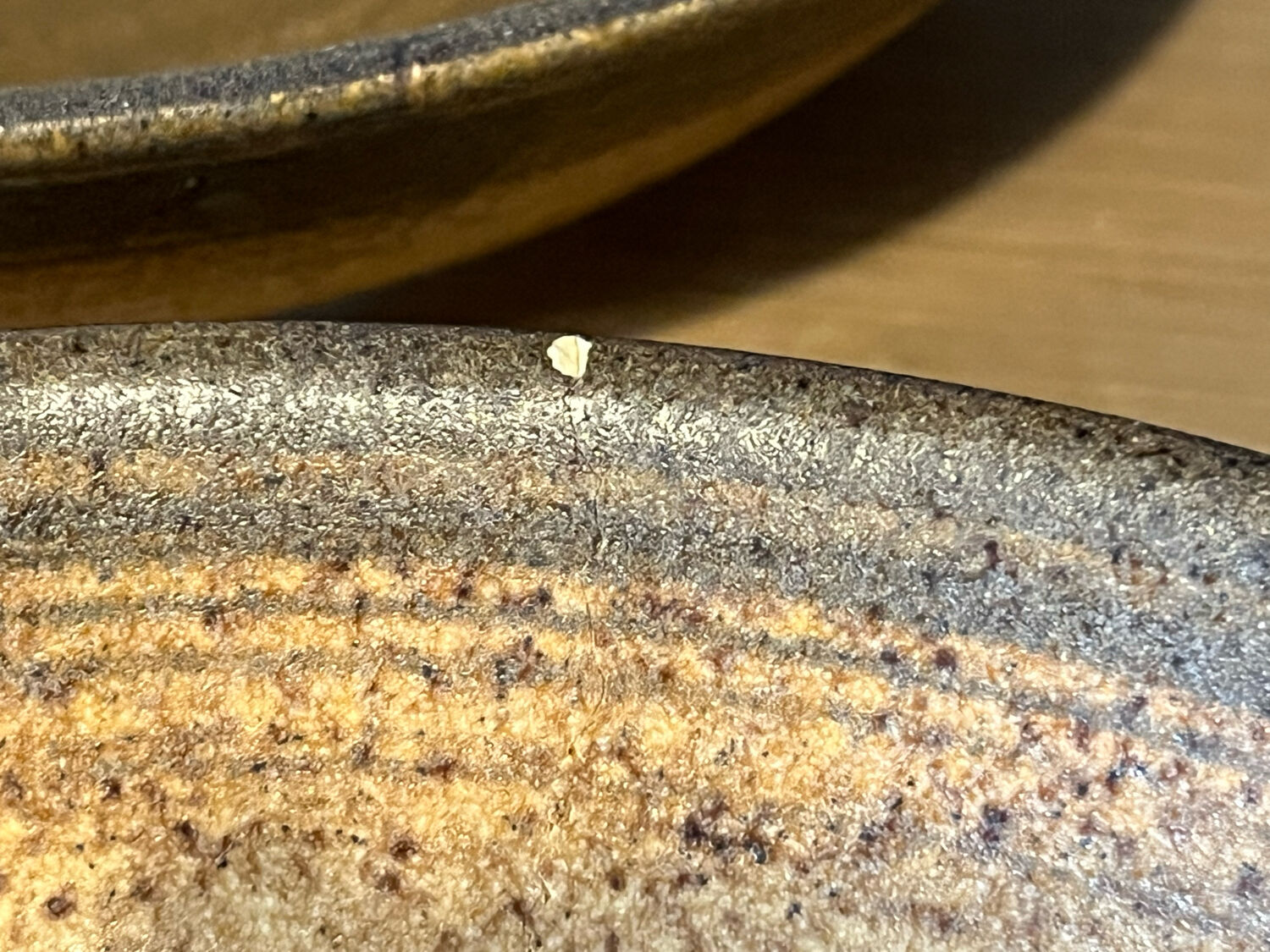 Lonchamp stoneware plates
