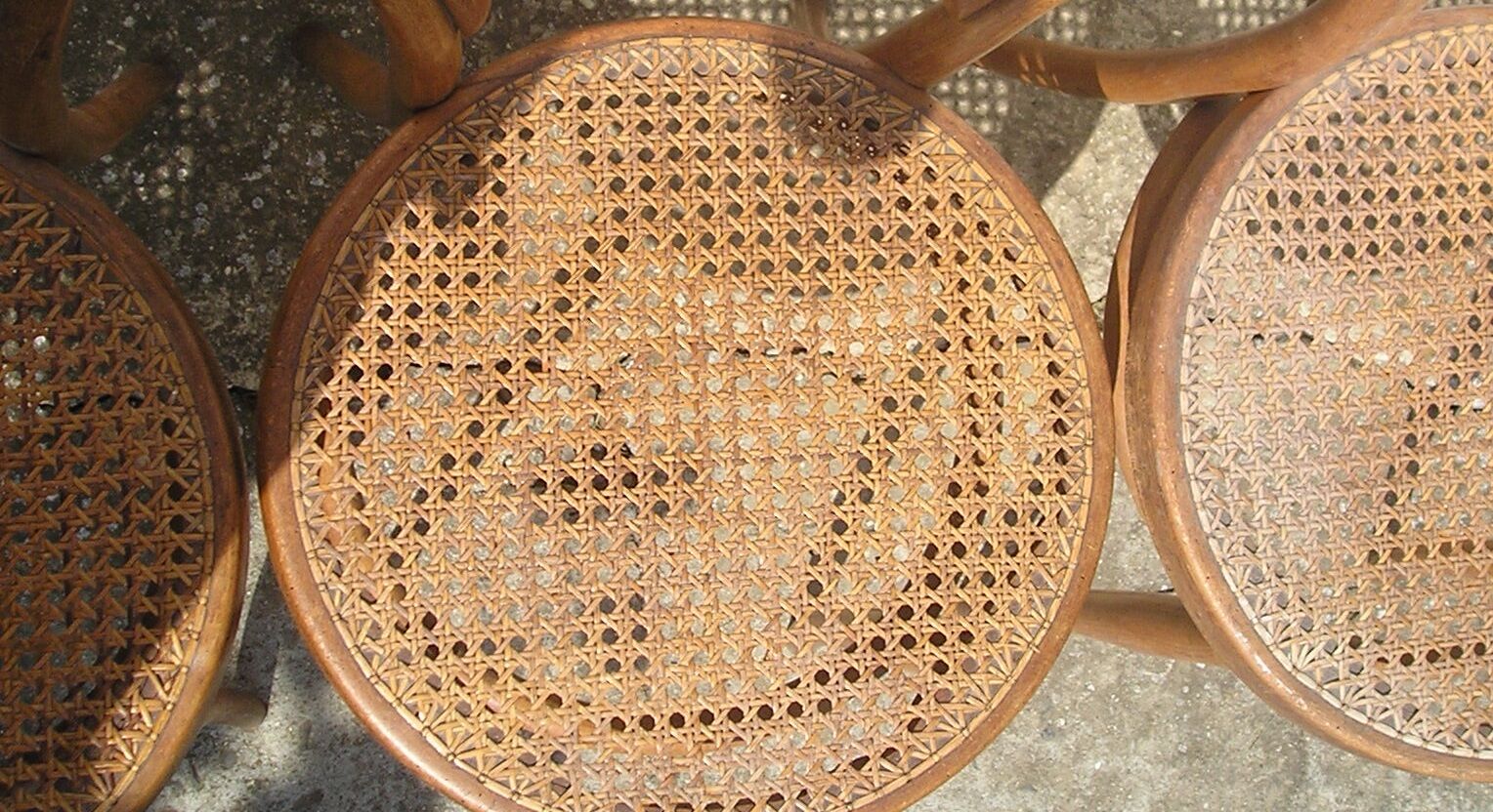 Trio of Thonet chairs late 19th model 14