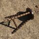Tabouret en bois vintage