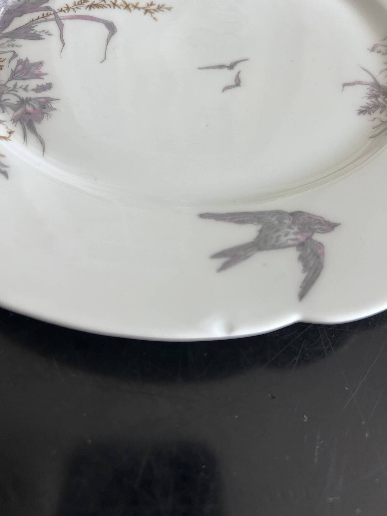 8 porcelain plates and 1 dish CH Pillivuyt & Cie