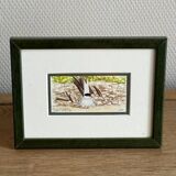 2 aquarelles oiseaux