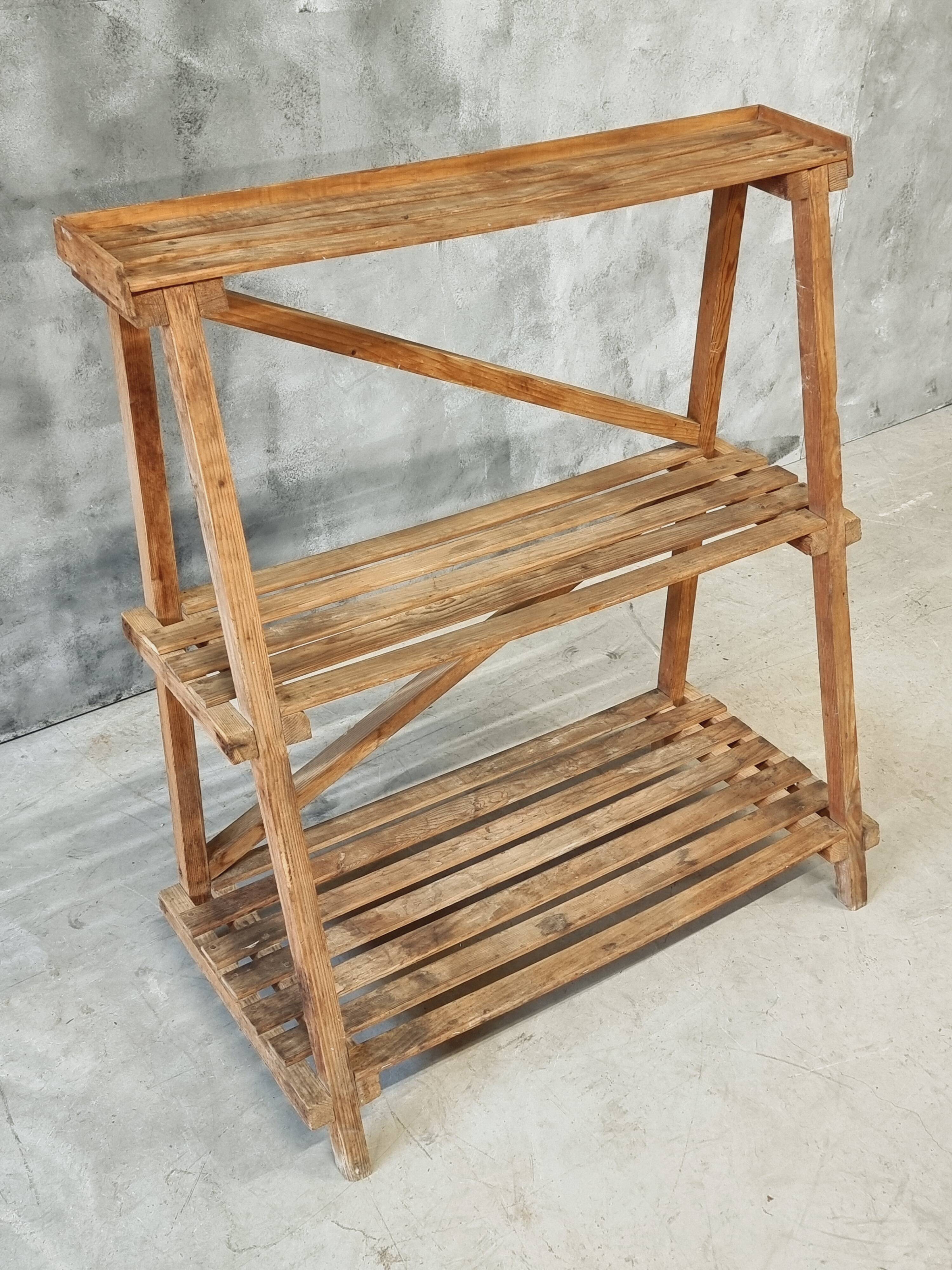 Plant shelf made of old pine wood