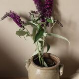 Glazed stoneware pot with two handles