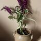 Glazed stoneware pot with two handles