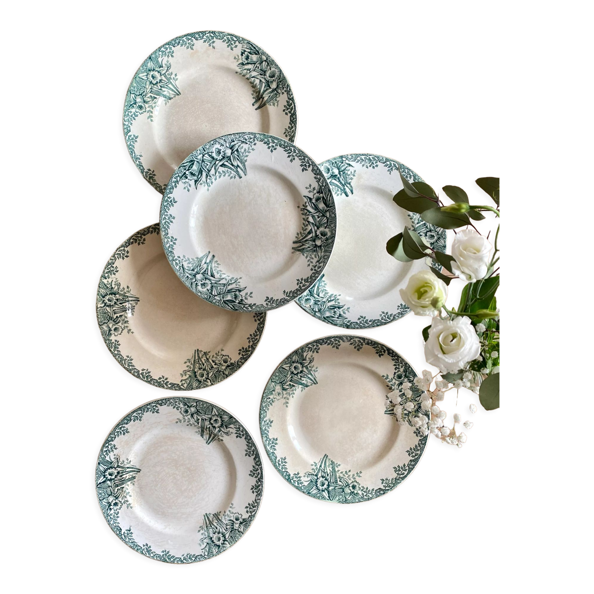 Set of 6 flat plates in iron earth model Narcisse de Saint Amand (LOT 4)