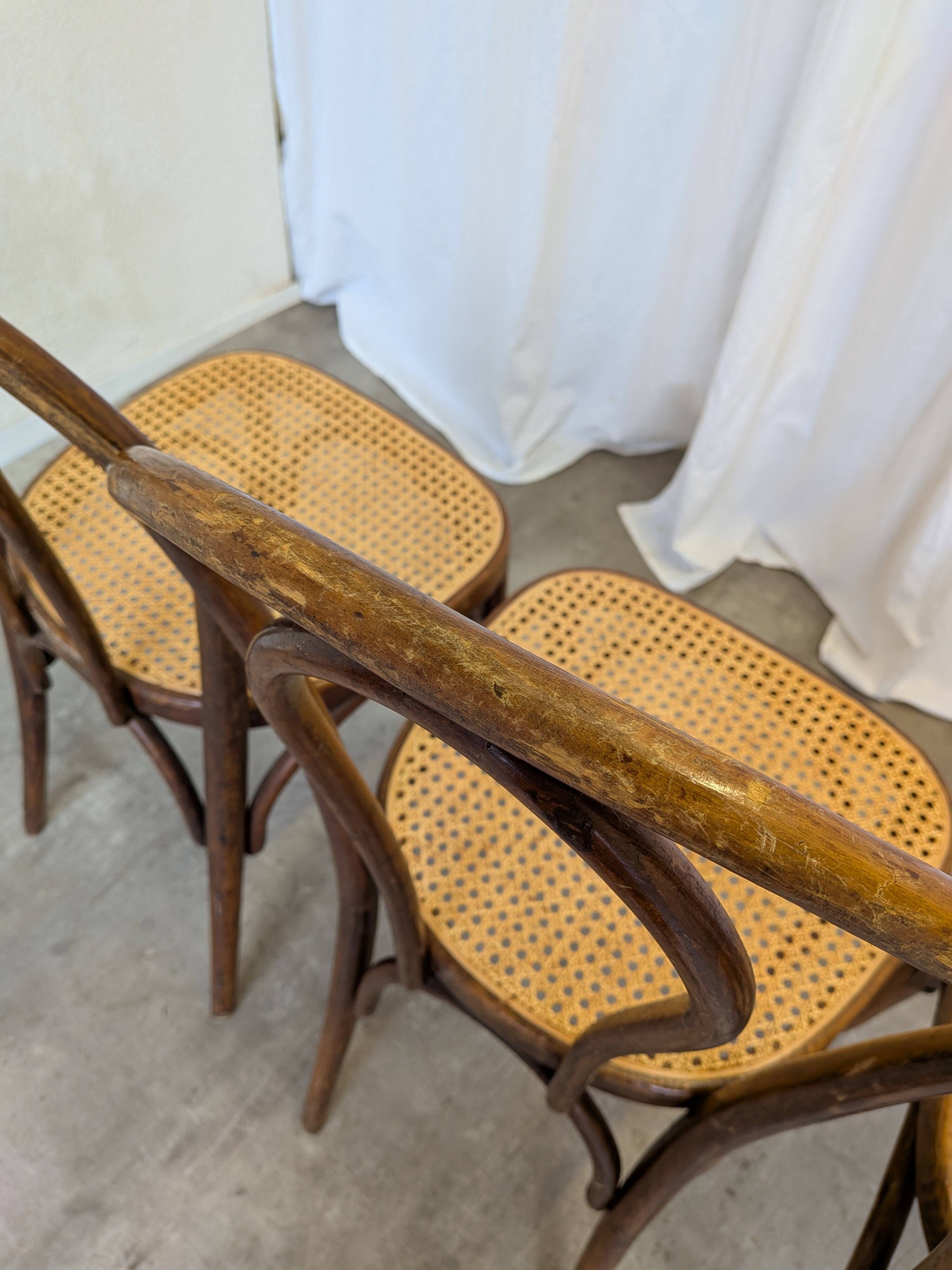 Set of 4 Vintage Thonet Style Dining Chairs: Bentwood Cane Seat, 1970s Bist