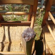 6 bistro chairs in straw and beech