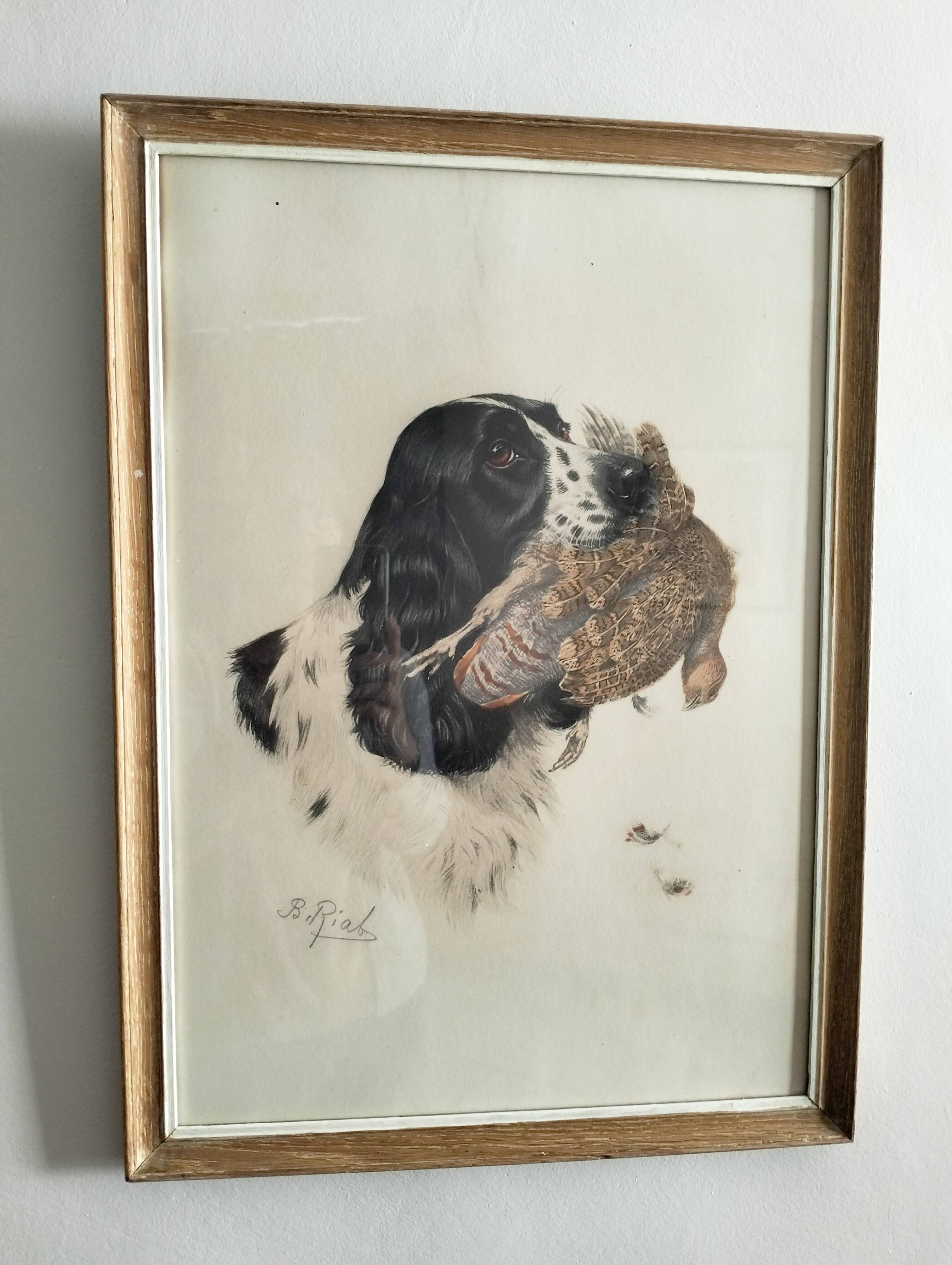Animal lithograph