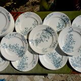 Mignon plates in Longwy earthenware