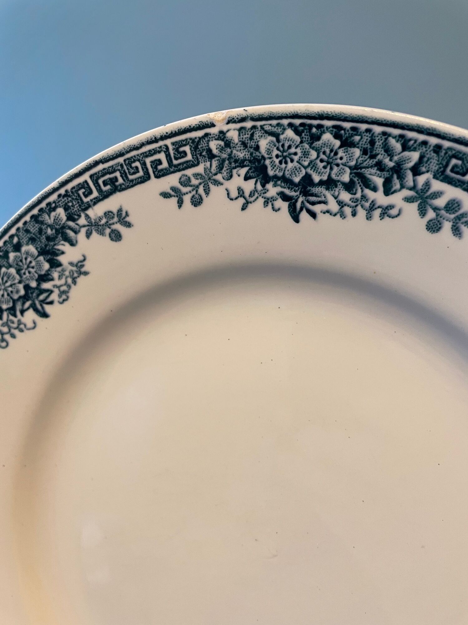 Set of 11 flat plates Terre de Fer in Earthenware of St Amand, model Lucy