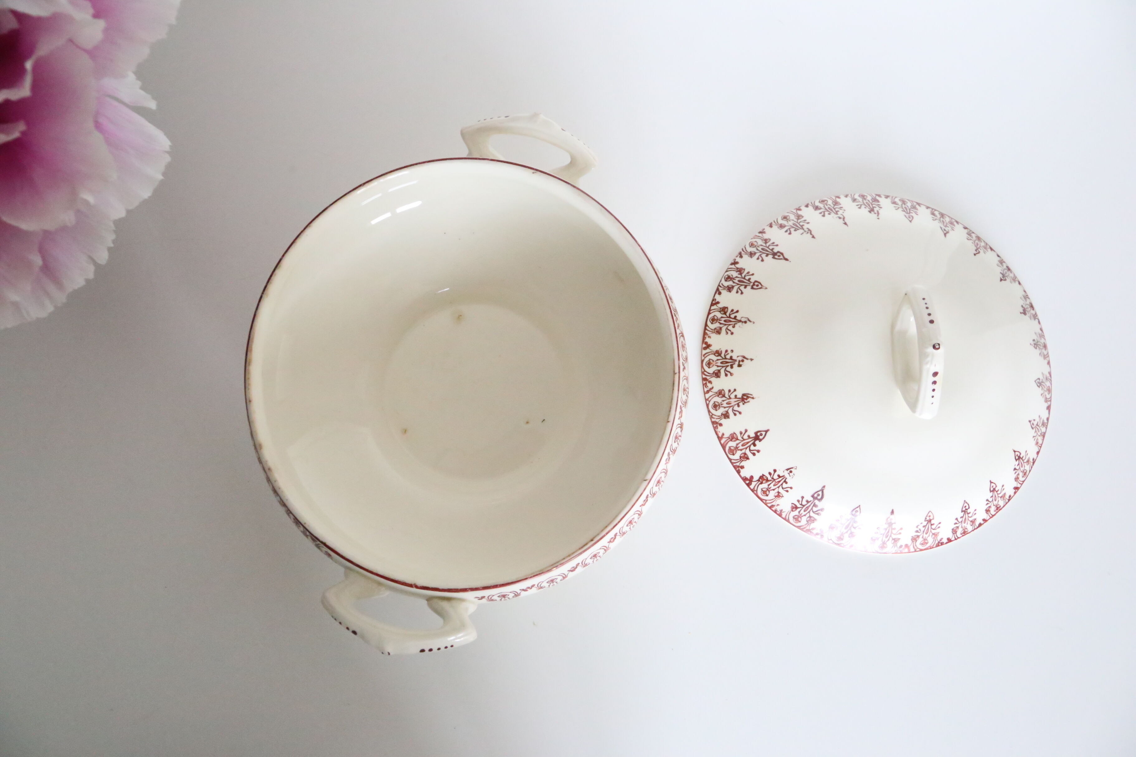 Pretty Red Iron Earth soup