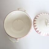 Pretty Red Iron Earth soup