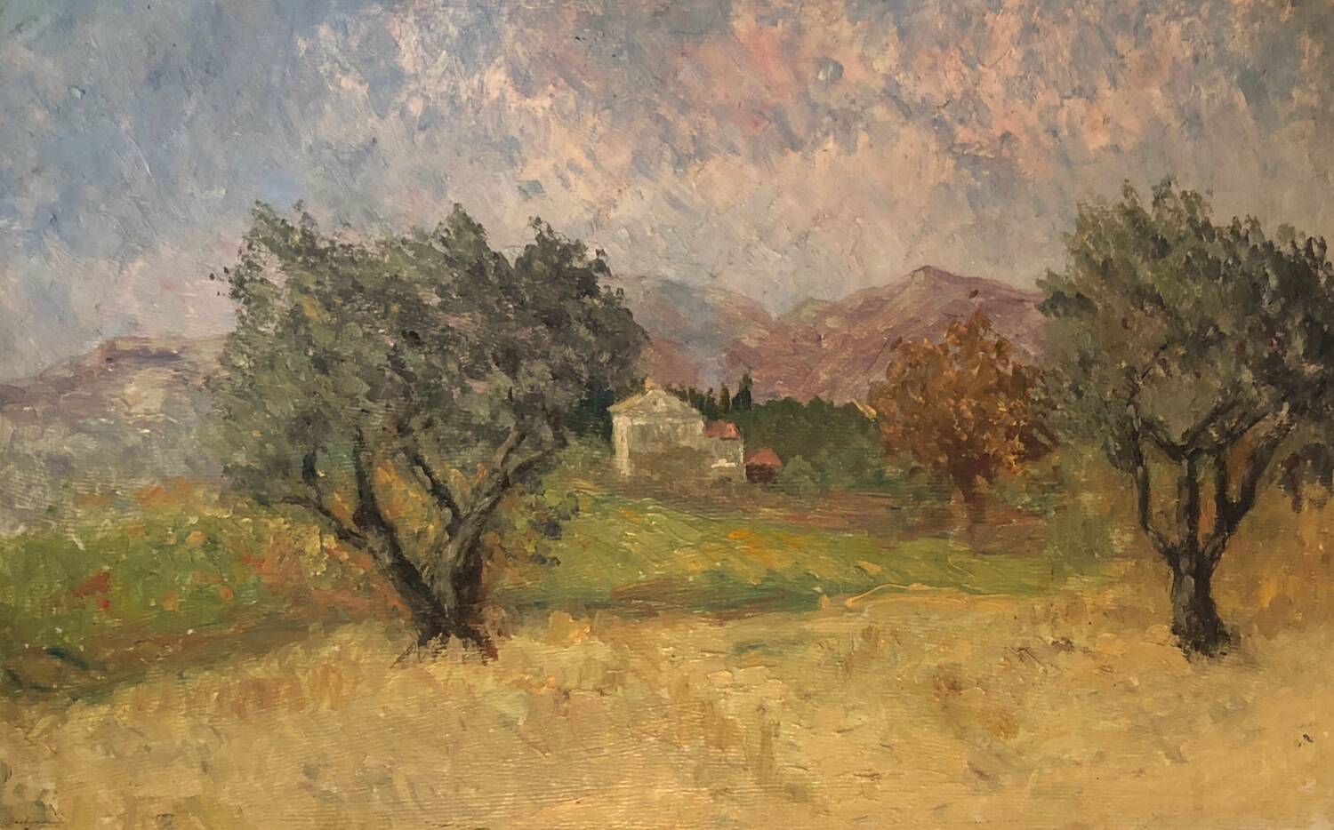 Oil painting of olive trees