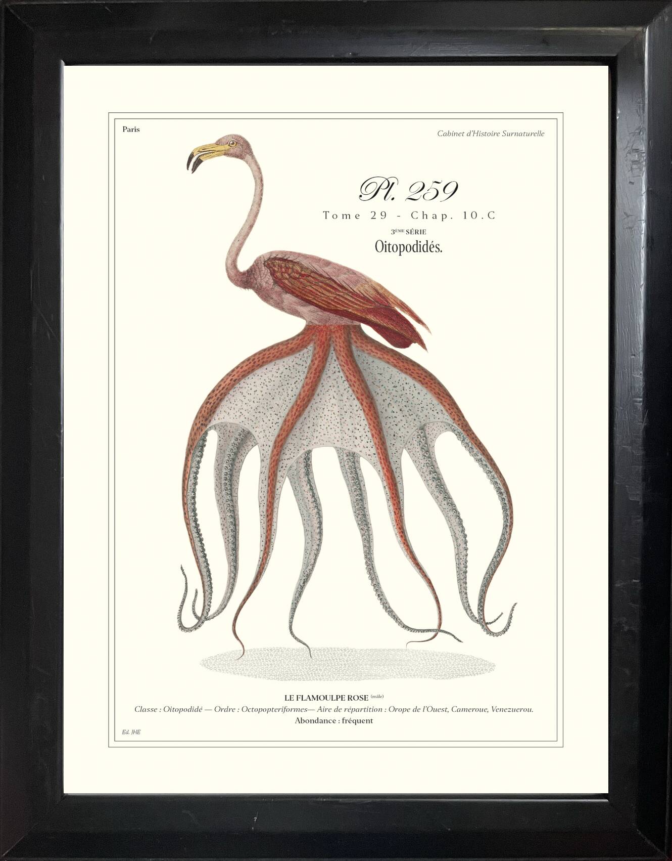 Lithograph engraving chimera animal, the flamoulpe 22x28 cm