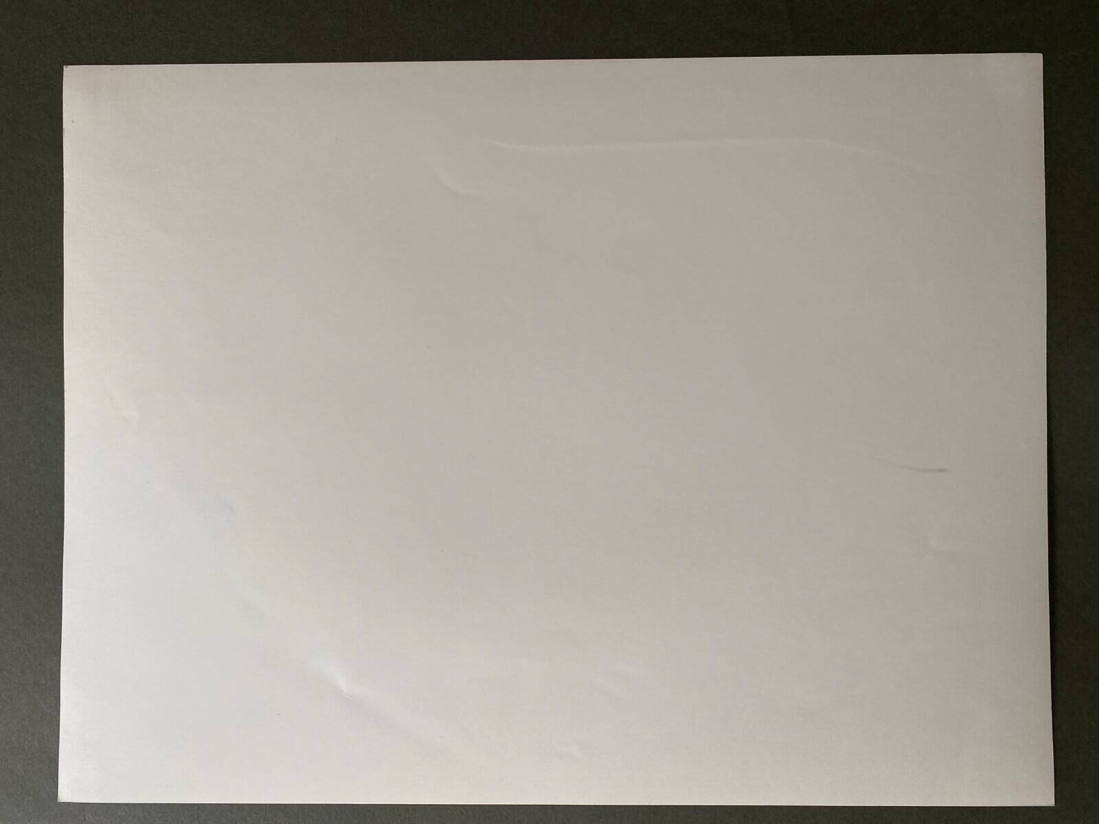 Silver photo portrait of Anne by B Bernard Darot 20th century