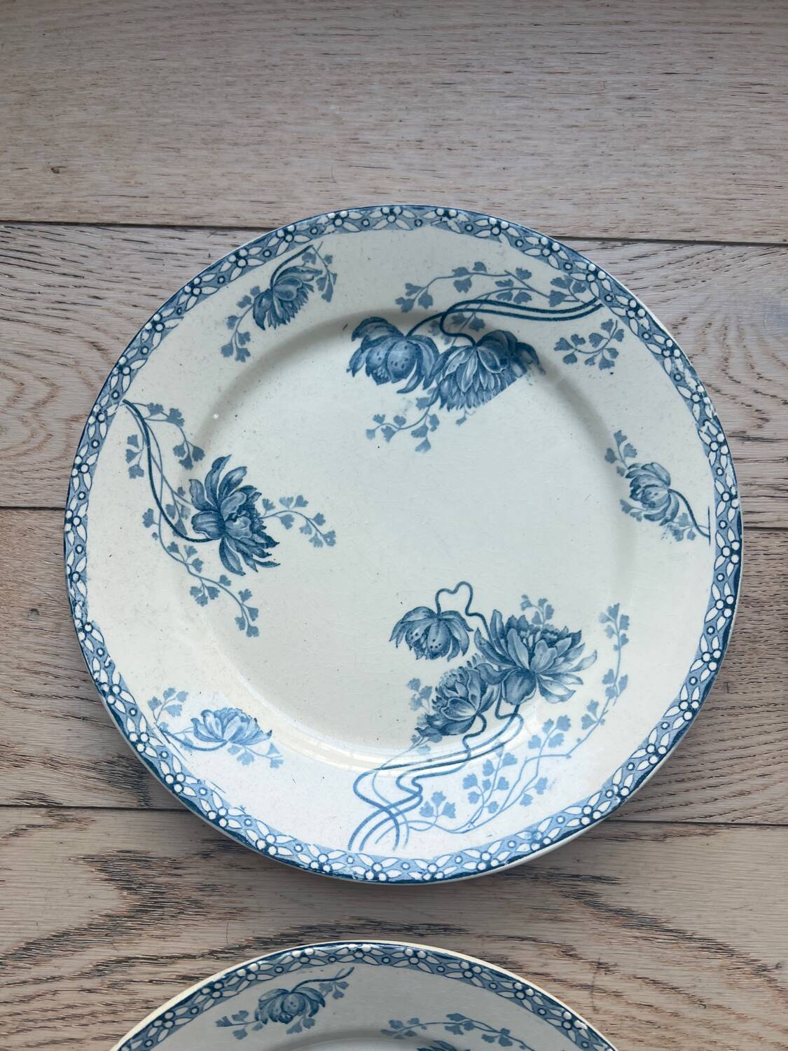 Royat Sarreguemines model flat plates