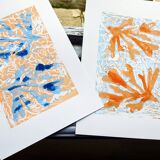 Ondulations bleues et algues oranges sways