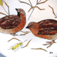 Game model plate signed gien, hunting birds, quails