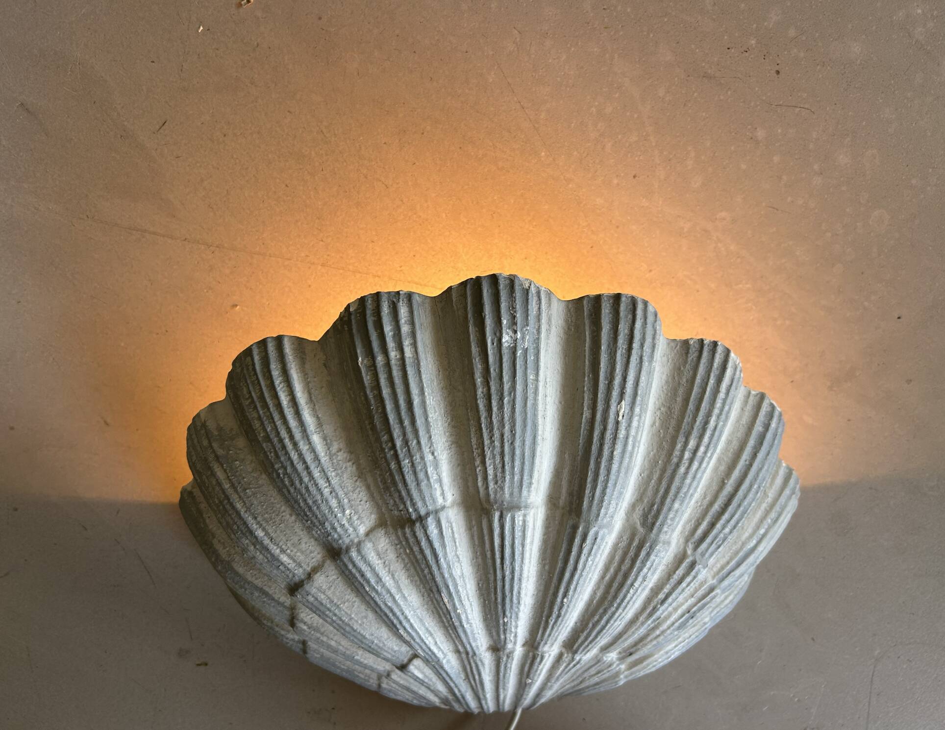 Applique coquillage en plâtre ancienne