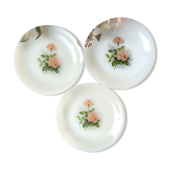 Set of 3 flowered Arcopal plates