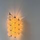 Vintage "Sterrenbeeld" wall lamp, Murano bubbled glass, Raak Netherlands 1960