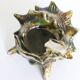 Kitsch ashtray, ceramics, shell shape, 50s