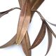 Pair of brass “leaf” wall lights, 1970s