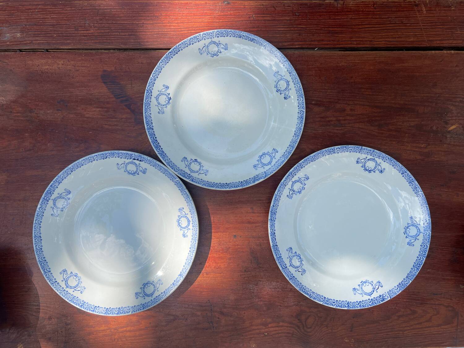 Saint Amand ironstone plates