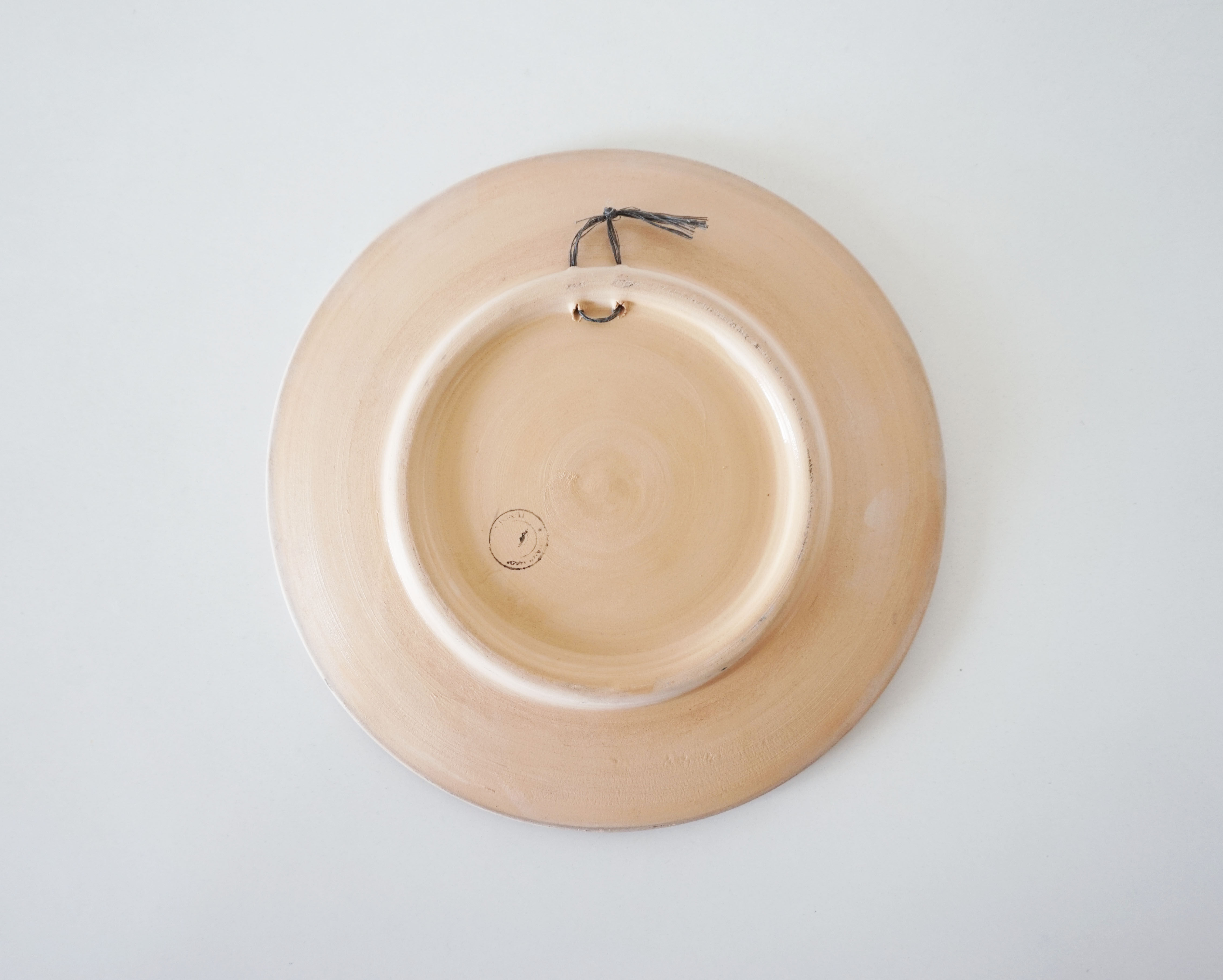 Spanish painted ceramic plate
