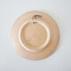 Spanish painted ceramic plate