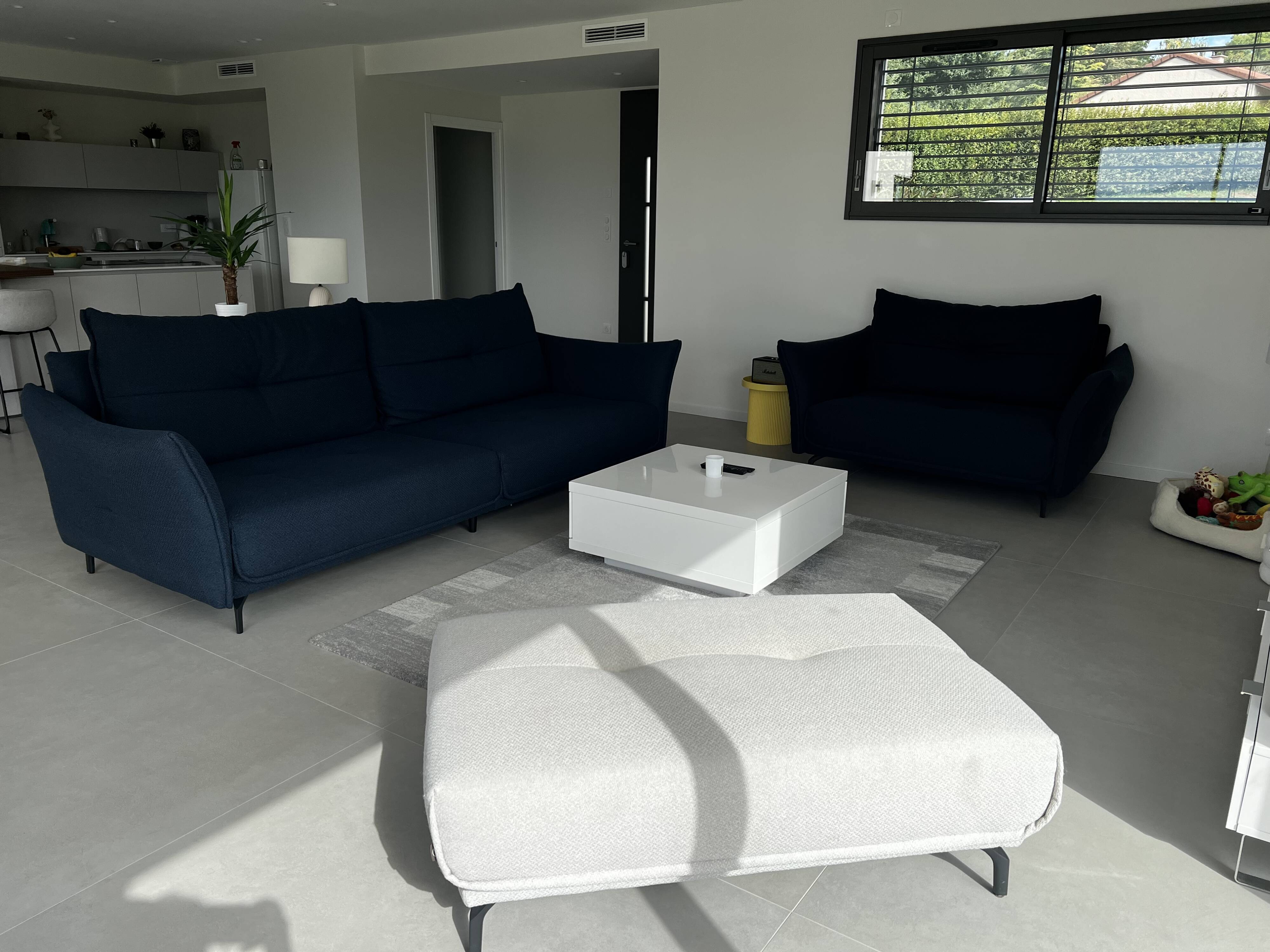 Blue sofas