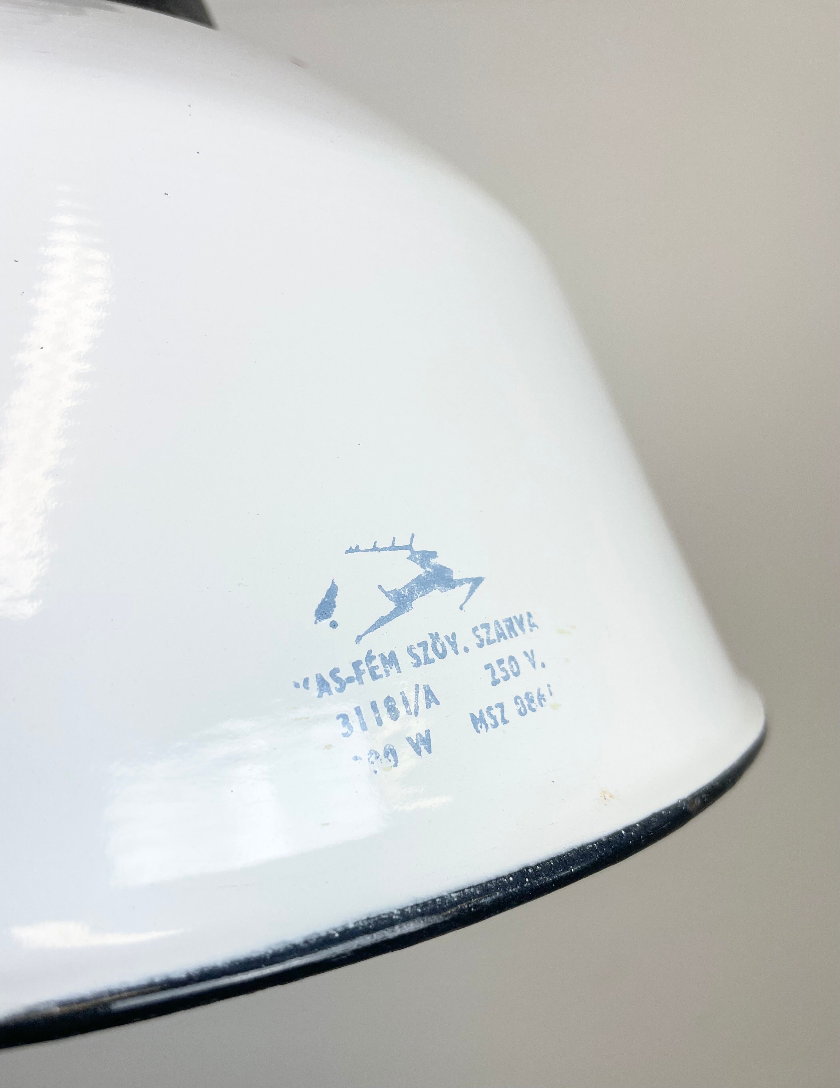 White Enamel and Cast Iron Industrial Pendant Light with Glass Cover, 1960s