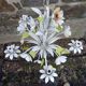 chandelier, painted sheet metal suspension, floral décor, vintage 80s