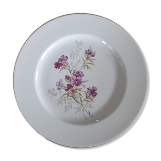 Porcelain plate