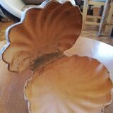 Raw cut scallop shell
