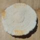 Natural white coral
