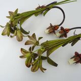 Large pair of vintage sconces in painted metal in the shape of a fleur-de-lis and foliage. 1970s