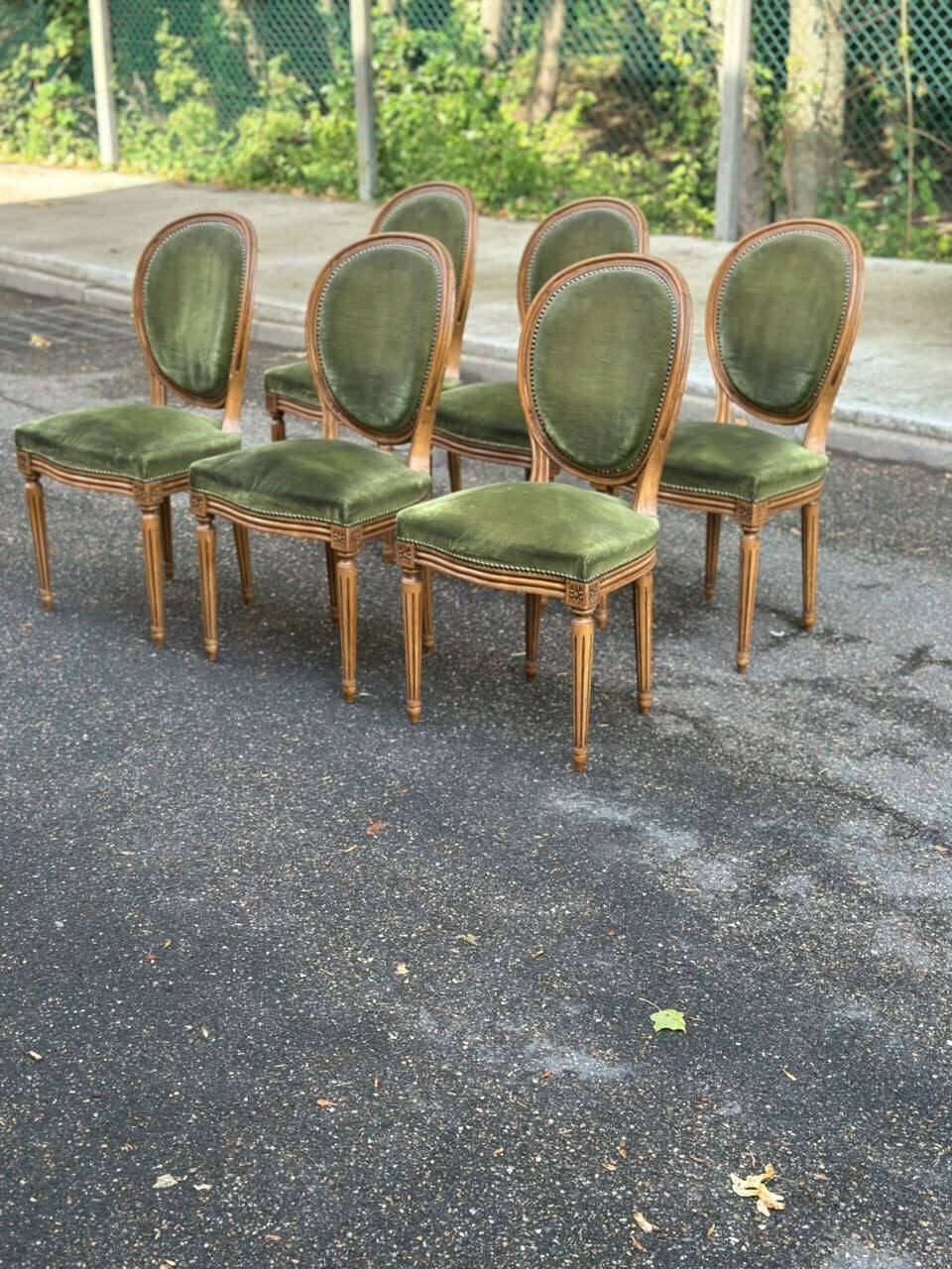 Set of 6 Louis XVI medallion chairs in green velvet, 1950.