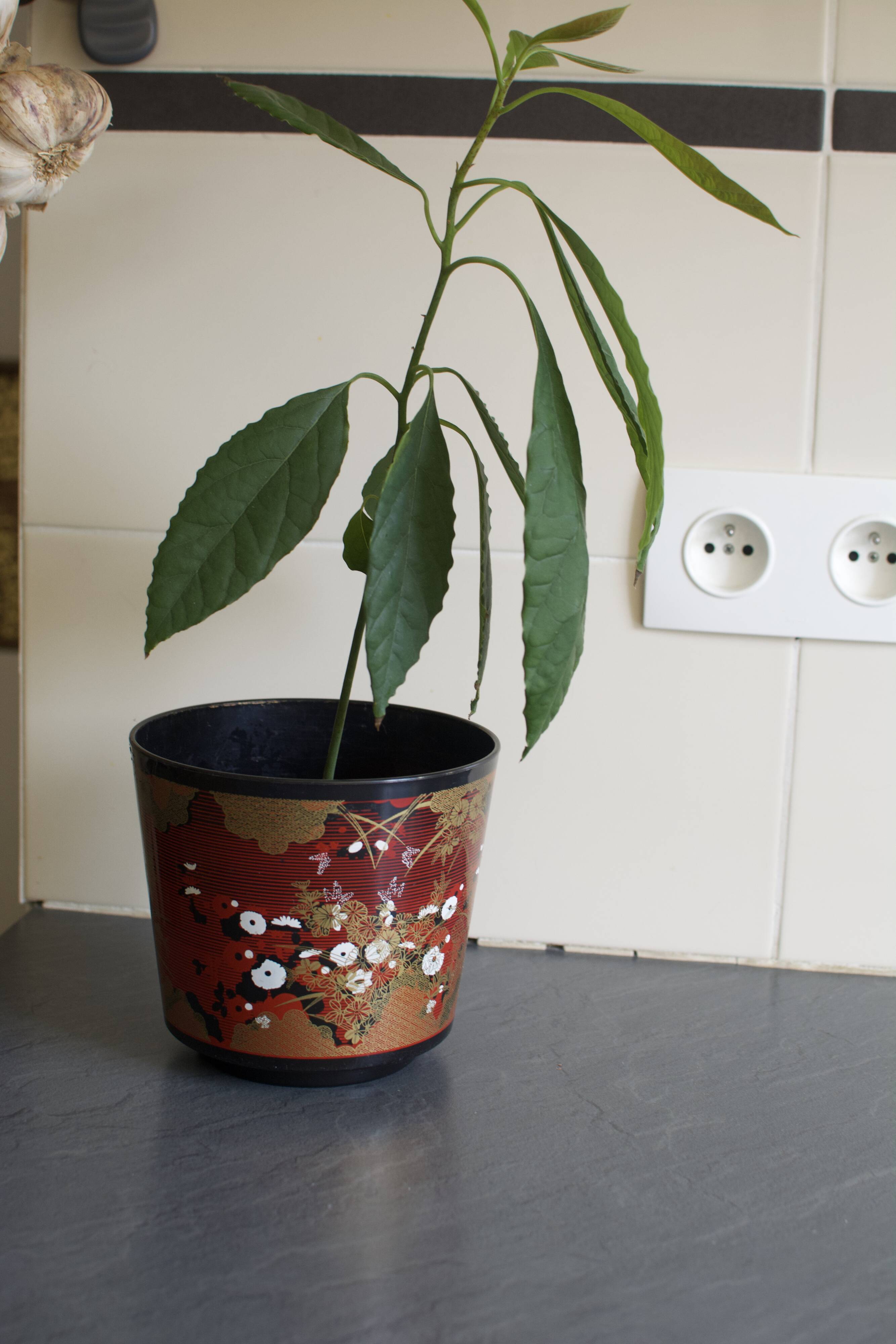 Cache-pot laqué à motifs asiatiques vintage