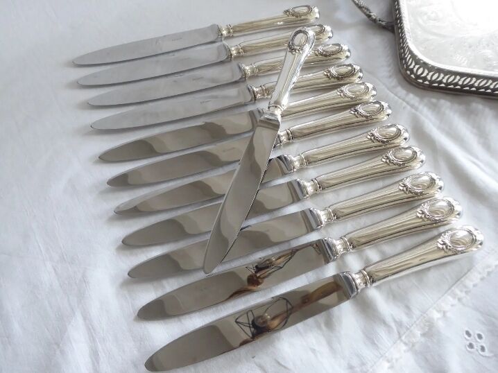 Set of 12 table knives in silver metal