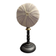 Cabinet de Curiosités oursin sphaerechinus granularis sur socle