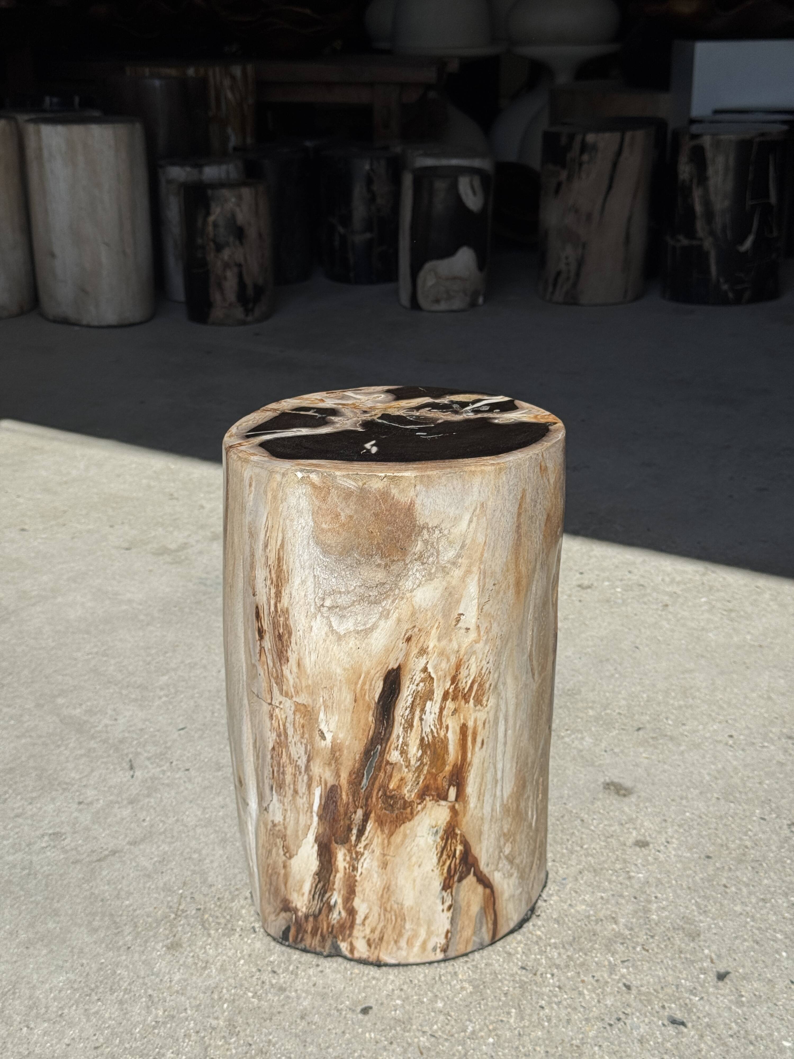 Petrified wood side table, black heart, beige bark, H35 D22 - 3330