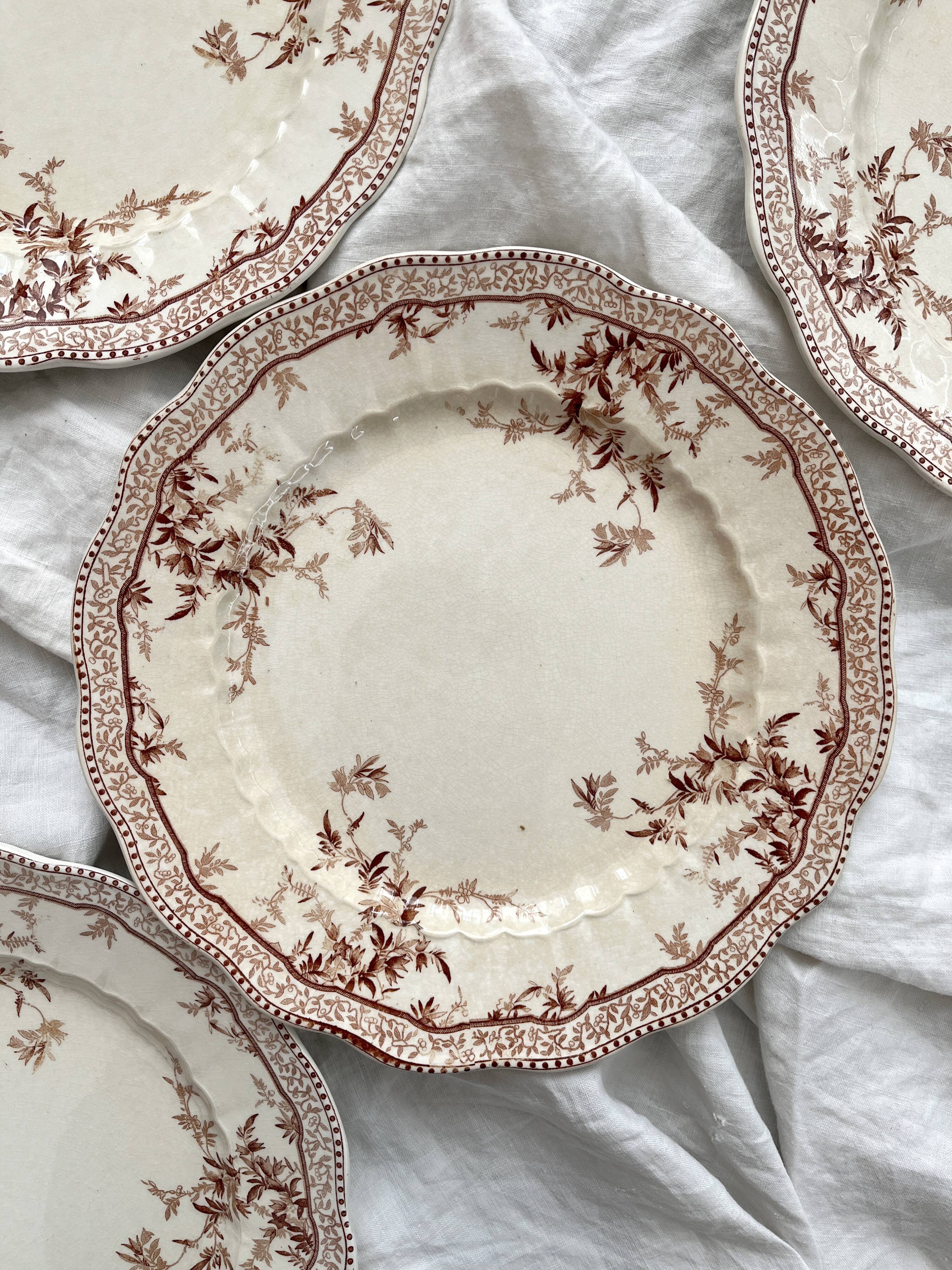 8 Ridgways England Royal Semi Porcelain "Eton" Ironstone Dinner Plates